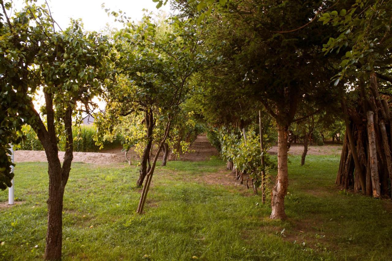 Domaine Des 4Roses -Spa Et Serenite Vila Furdenheim Exterior foto
